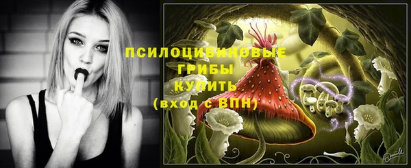 ECSTASY Абаза